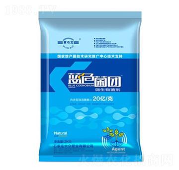 �{(l��n)ɫ���F(tu��n)��20�|�ˣ�-�󱊷ʘI(y��)