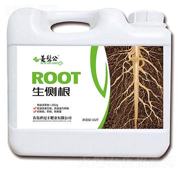 ���ȸ�-���׹�-���o�S