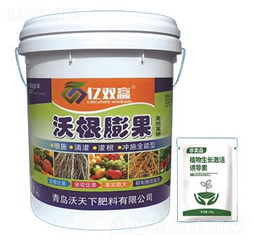 �ָ����-�|�p�A-������