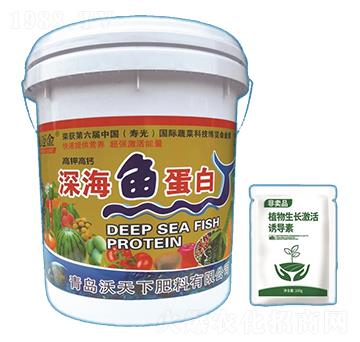 ��~(y��)����-ʩ�~��-������