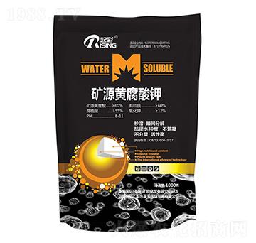 1000g�VԴ�S�����-���-Ӣ��