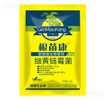 ���S�ù��-���翵-�ڼژ�