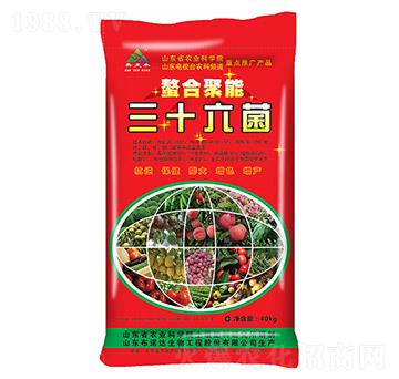 ���Ͼ�����ʮ����-���Z�_(d��)