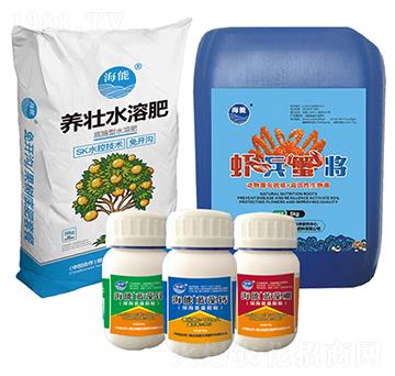 ���_�Ϸ���-����