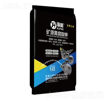 �VԴ�S�����-����