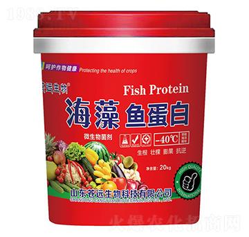 �����~���ס�΢�������-�n�h(yu��n)����