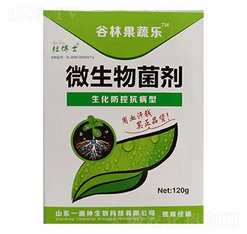 �������ؿ�����΢�������-���ֹ��ߘ�-һ����