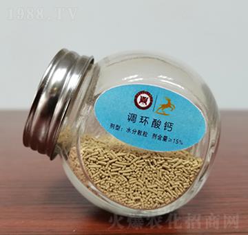 �{�h(hu��n)���}-ͨ�û���