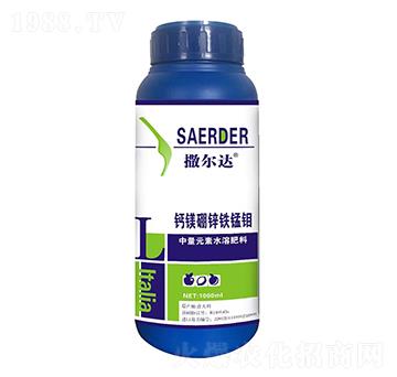 �}�V���\�F�i�f-�����_(d��)-��(y��u)�ݿ�