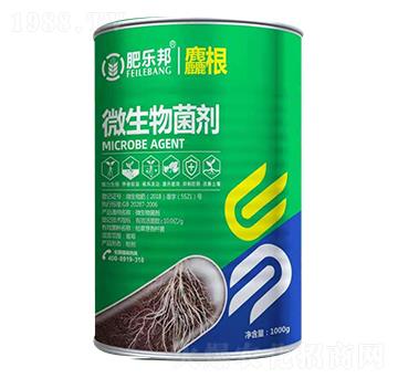 ΢�������-����-�׶���