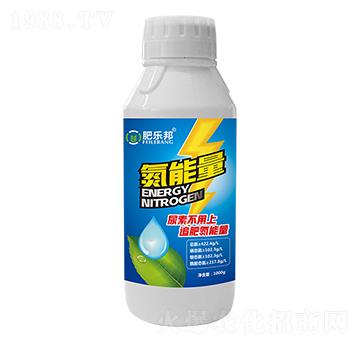 �ʘ������-�׶���