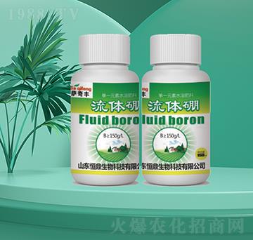 ���w��-�㶦����