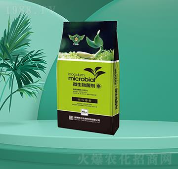 ΢�������-�㶦����