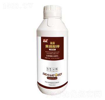 1000ml�����S�����-��-���r(n��ng)