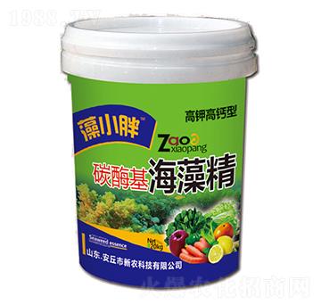 ̼ø�����徫-��С��-���r(n��ng)