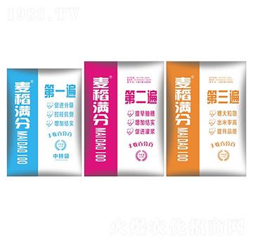 �����M(m��n)��-ʢ������