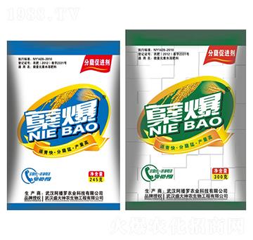 �Y��-ʢ������