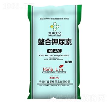 ���������-�t���컯-���r(n��ng)����