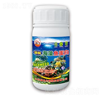 �����~(y��)����-ʢ������