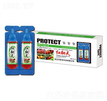 �t���죨���䌣�ã�-���r(n��ng)