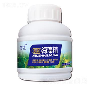 ø�⺣�徫-��-���r(n��ng)