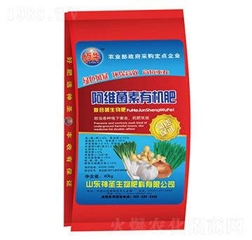 ���S�����ЙC(j��)��-��ʥ����