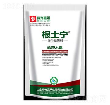 ����ľù΢�������-������-�۹�κ�