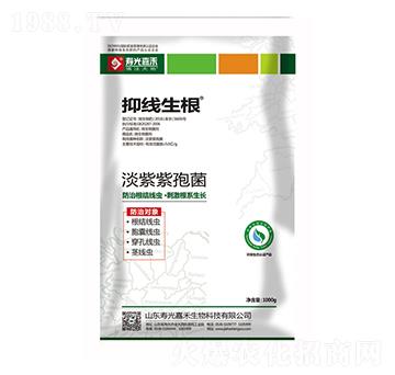 �������߾�-�־�����-�۹�κ�