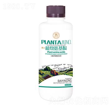 ϡ��ֲ�ﰱ����-�ۃ|�r����