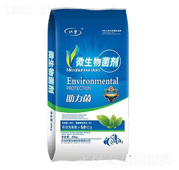 ΢�������-�뷱����