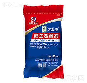 10�|΢�������-�f�ҿ�-���}��