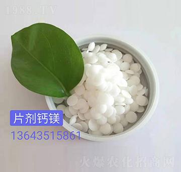 Ƭ���}�V���ף�-��������