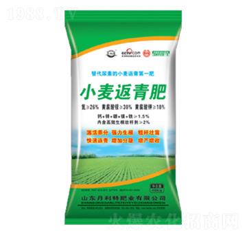 С�������-������