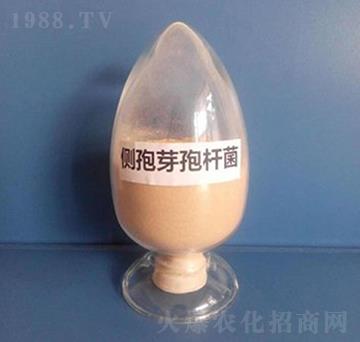 ��(c��)��ѿ�ߗU�����ۄ���-��������