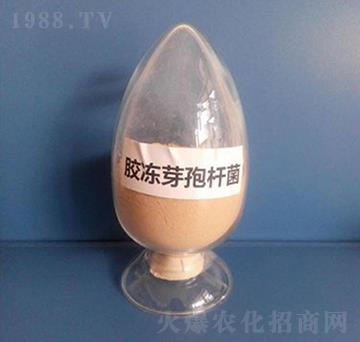 �z�|ѿ�ߗU�����ۄ���-��������