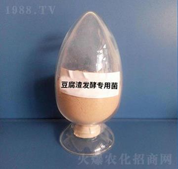 �������l(f��)�͌�(zhu��n)�þ����ۄ���-��������