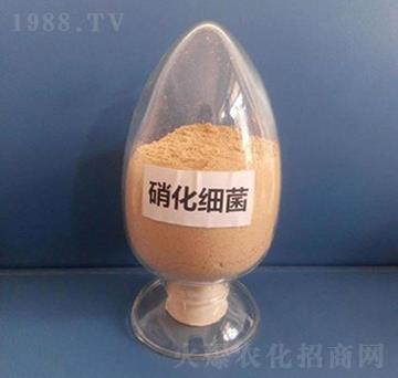 �����������ۄ���-��������