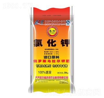 �Ȼ��-���-���_(d��)��