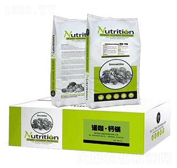 �}�V��-�Z��-�T��