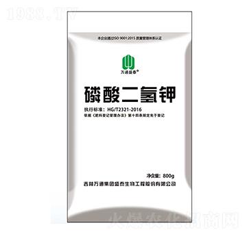 ��������-�f(w��n)ͨʢ̩-ʢ̩����