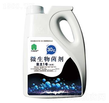 ΢�������-����1̖(h��o)-ʢ̩����