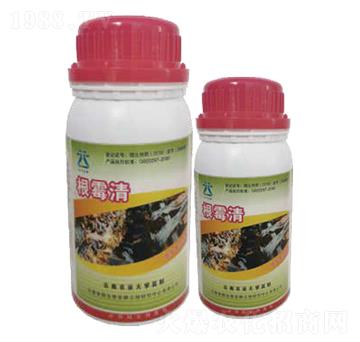 ��ù��2̖(h��o)-���~����