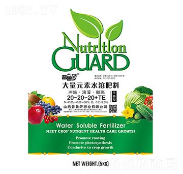 大量元素水溶肥料20-20-20+TE-普魯薩