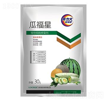 ֲ�：���ޏ̈́�-�ϸ���-�����W