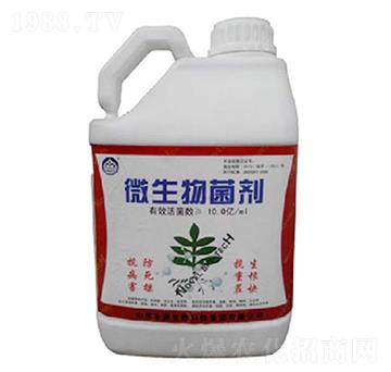 ΢�������-���r(n��ng)����