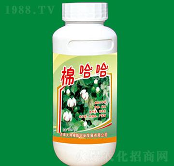 �޻�������-�޹���-��