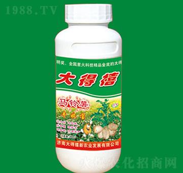 �R����S�Ռ�-�����