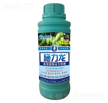 â�������~���-ʩ����-�G����