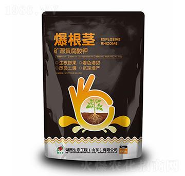 �VԴ�S�����-�����o-�������B(t��i)