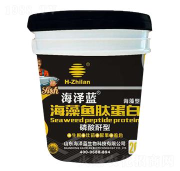 �����~(y��)�ĵ���-�����{(l��n)-��֮�{(l��n)